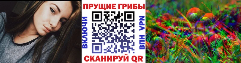 купить наркоту Тобольск Галлюциногенные грибы Cubensis